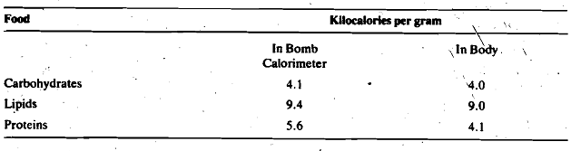 16_Bomb Calorimeter 1.png